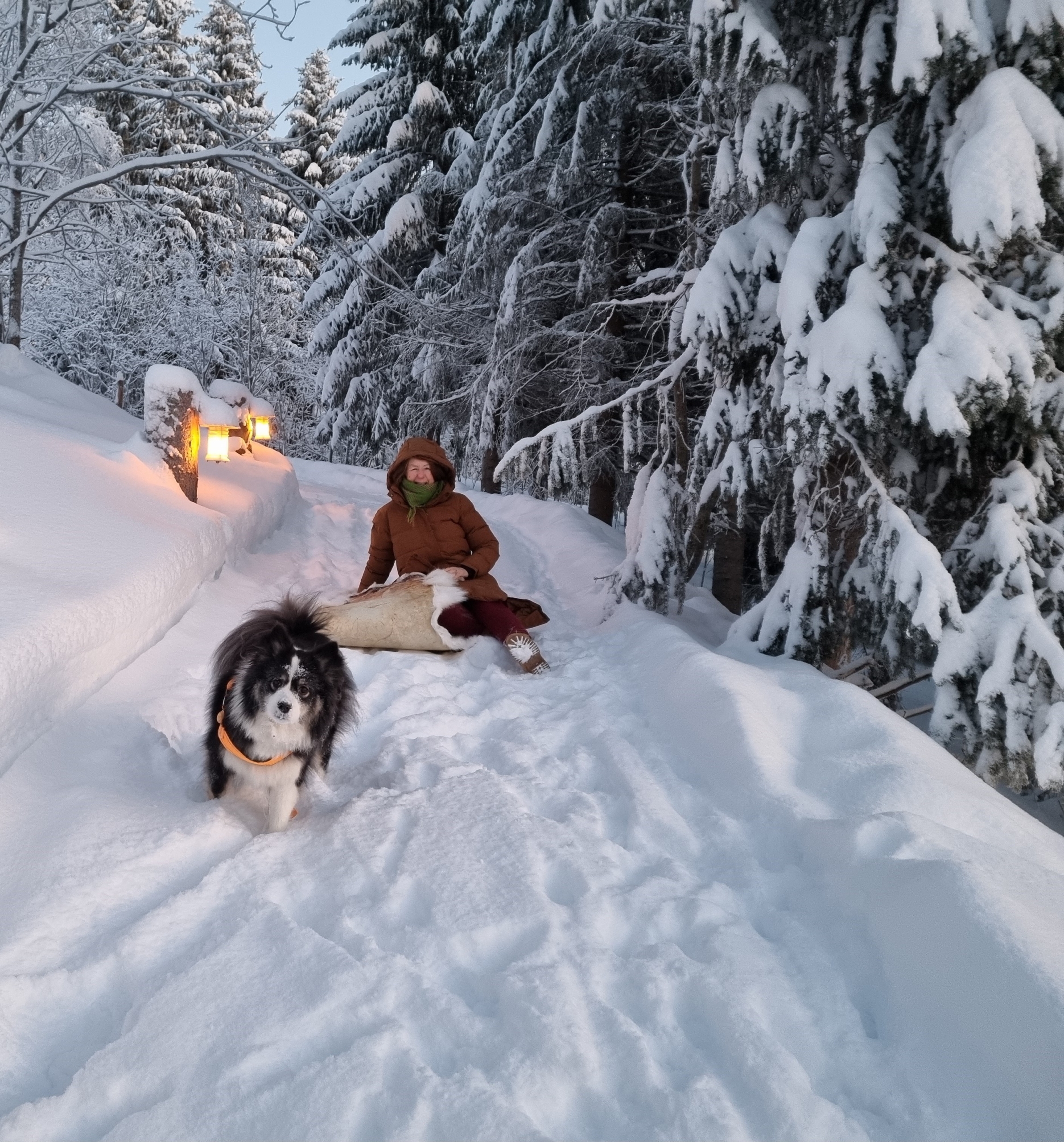 hund og en som aker på reinskinn